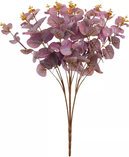 IT393772.jpg