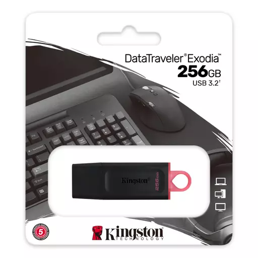 Kingston Technology DataTraveler Exodia USB flash drive 256 GB USB Type-A 3.2 Gen 1 (3.1 Gen 1) Black