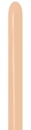 IT372407_1.jpg