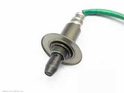 d75558f6-45be-4c69-9917-6c8e54b47643.jpeg?