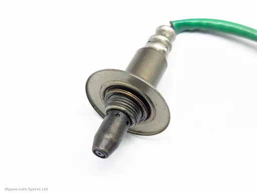 d75558f6-45be-4c69-9917-6c8e54b47643.jpeg?