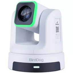 Birddog-BDX5W_-1.jpg?