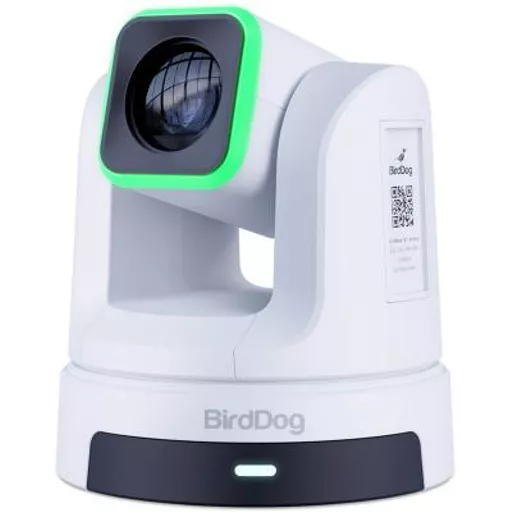 Birddog-BDX5W_-1.jpg?
