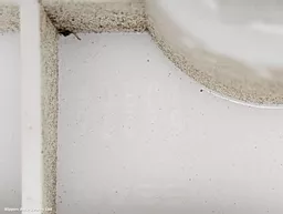 4e78eaff-6f89-4c52-b112-fc418a04383f.jpeg?