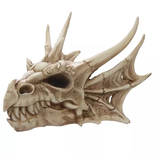 Dragon Skull Decoration