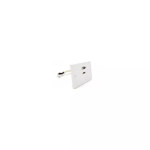 Double Gang HDMI & SVGA Wall Plate (with Flylead Couplers)