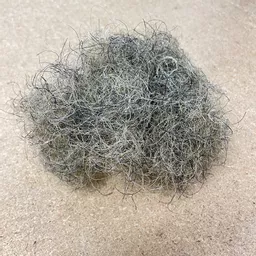 Horse Hair.jpg
