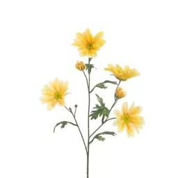 Yellow Gazania.jpg