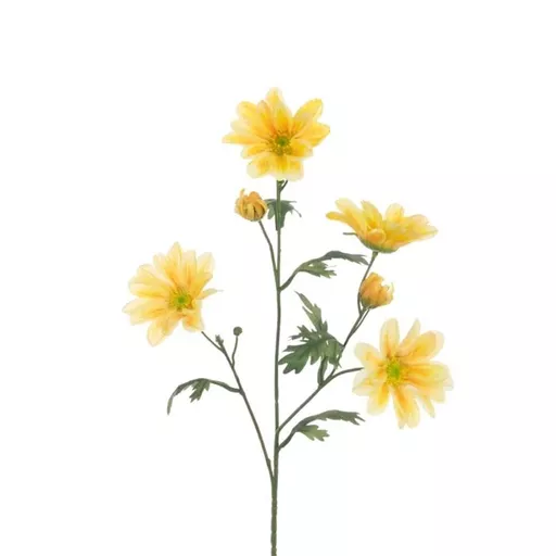 Yellow Gazania.jpg