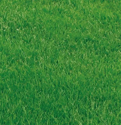 Premium_Lawn_Mixture.jpg