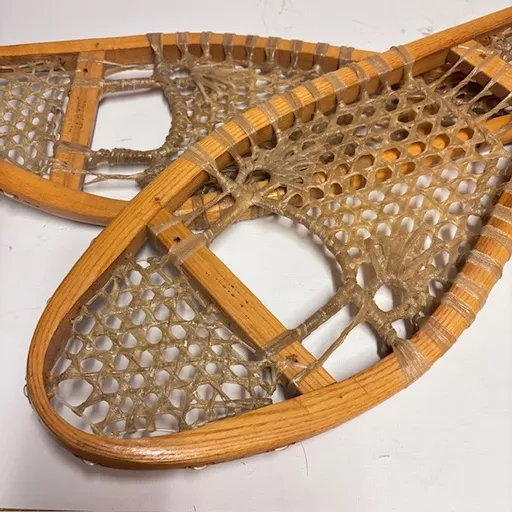 snow shoes 3.jpg