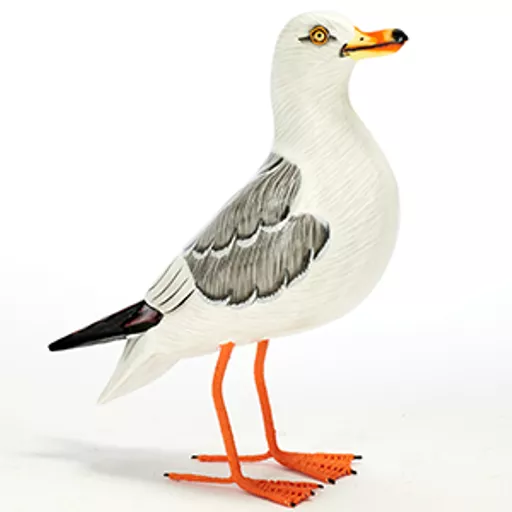 Seagull.jpg