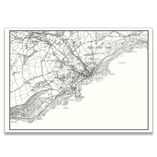 1830s Map of Lyme Regis Coast (Mary Anning) | Starbeck Education