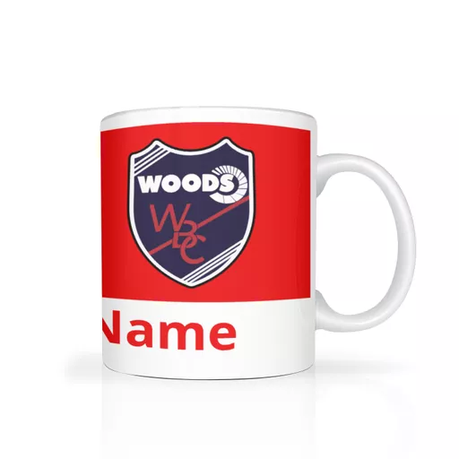 mockup-1763993895095-0-0.png?