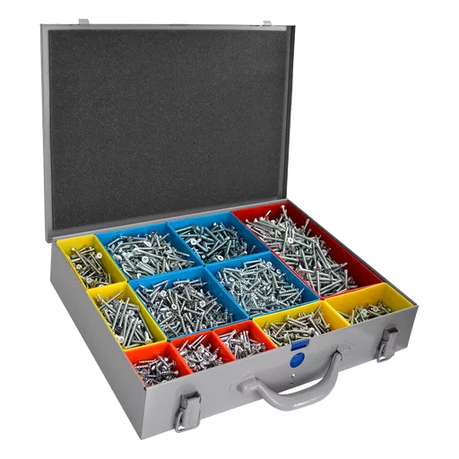 RAPIERSTAR UPVC Repair Screw Case Kit