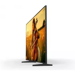 Sony-SONYFWD98XR55UK-2.jpg