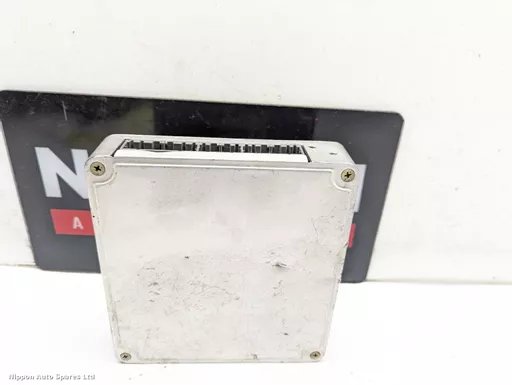 e7685ffa-6835-43a0-ae95-ccefd3ee39bc.jpeg?