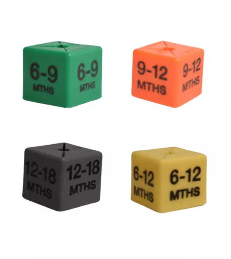 1762870273-86432500.jpg?