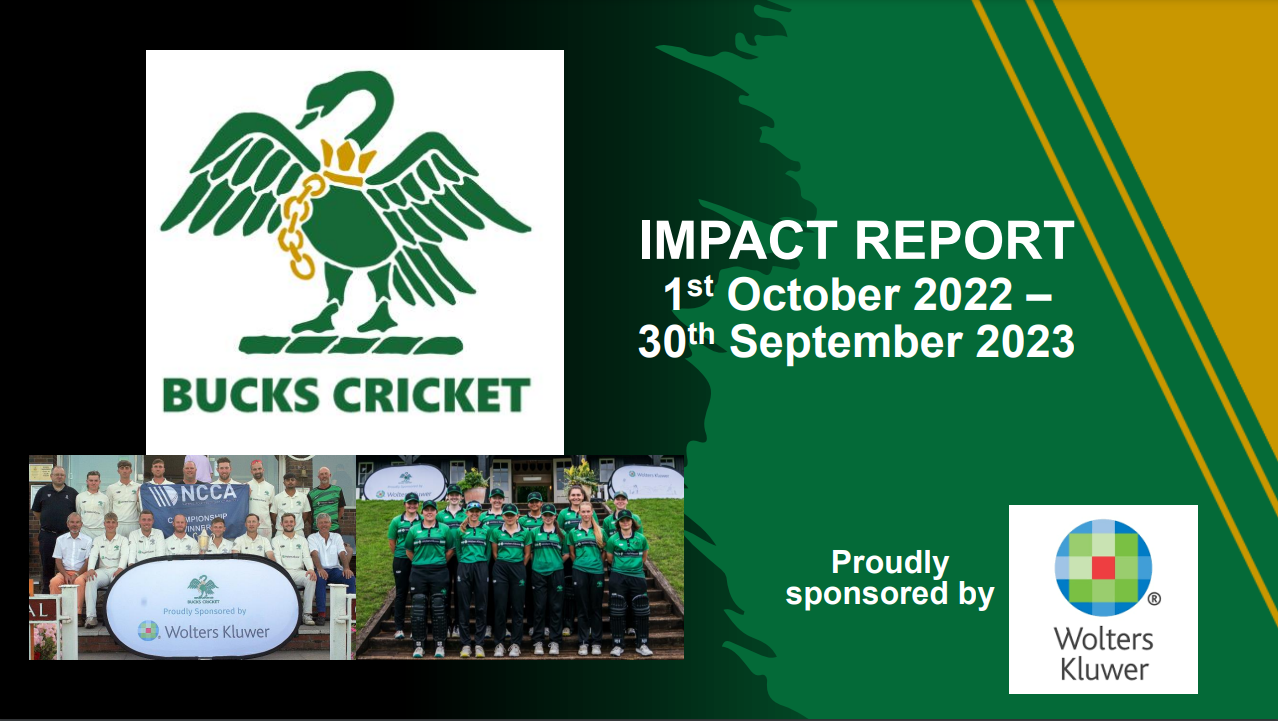 impact report.png