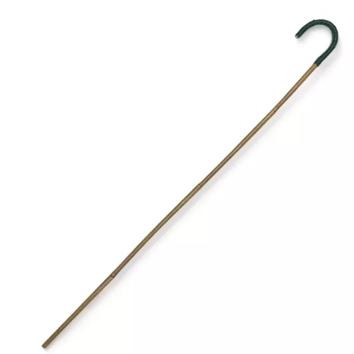 Victorian School Cane