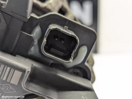 f919d046-cc30-47d6-9871-f55c31edddbd.jpeg?