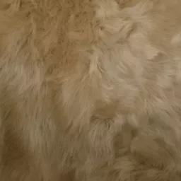 1636636969-83301200.png?