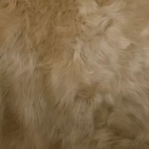 1636636969-83301200.png?