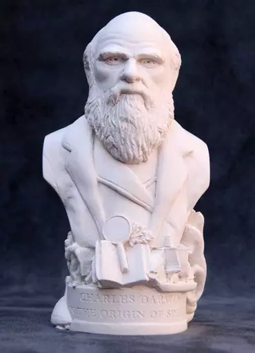 Charles Darwin Bust