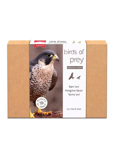 collectable model birds of prey set.jpg