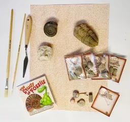 Fossils Archaeology Kit 2.jpg