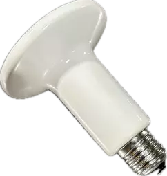 Ceramic heat lamp bulb