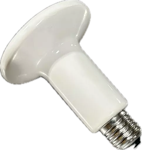Ceramic heat lamp bulb