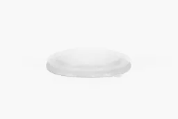 LEAF60LID.jpg