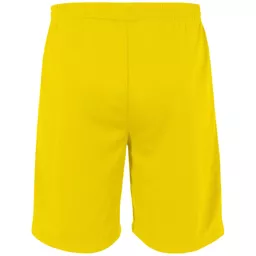Stanno_ClubProShorts420002-4000_Yellow_Back.png