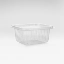 Clear-RPET-hinged-container.jpg