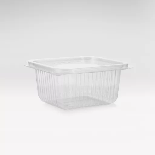 Clear-RPET-hinged-container.jpg