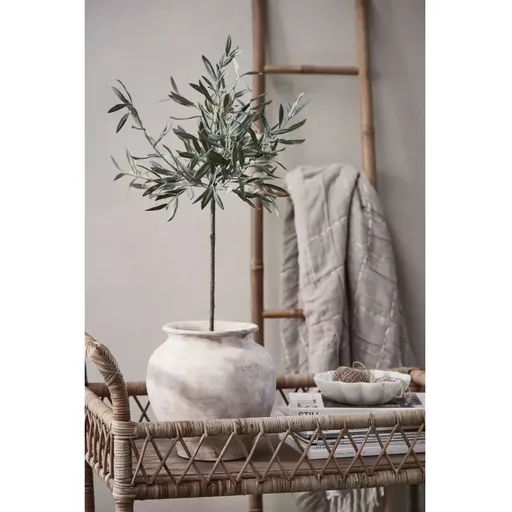 OUT OF STOCK - Olive Tree, Ophelia, Green - Large