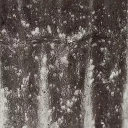 Screenshot 2025-10-31 at 15.00.18.jpg