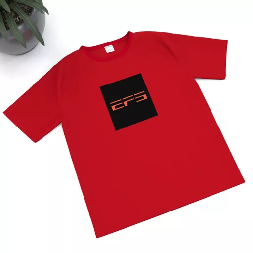 mockup-1764851601348-0-1.png?