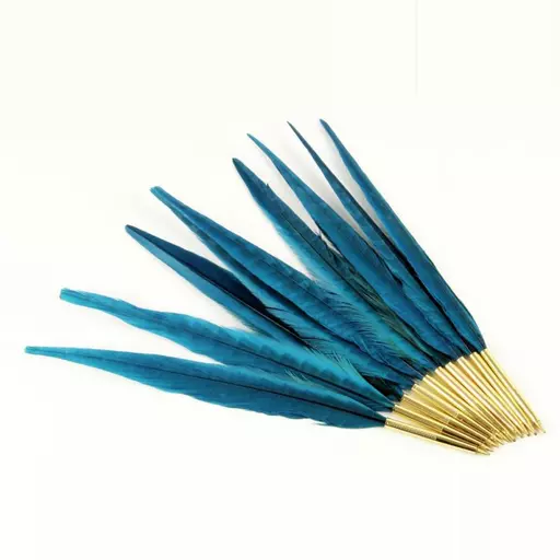 Pheasant feather Quill