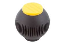 K0253 Female Yellow.png