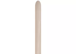 IT379515_1.jpg