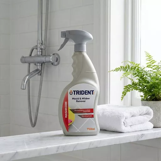 Trident-Pro-Mould-&-Mildew-Remover,-750ml-Trigger-Spray.jpg
