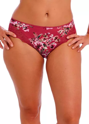 Fantasie Lucia Cherry Brief.jpg