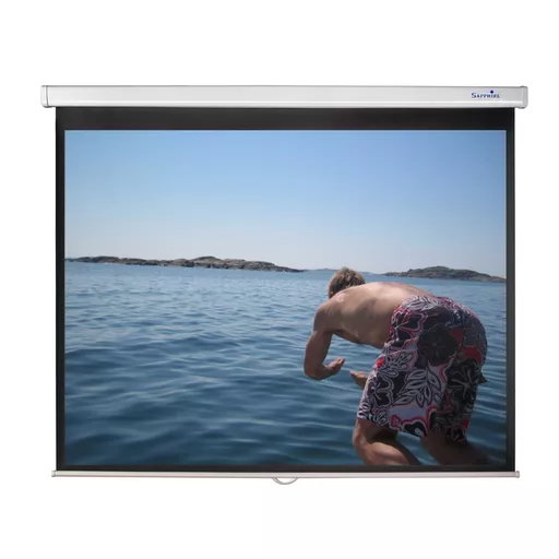SWS-1_1_11fd8d0f-3dde-4057-9b65-0f3f4de2c92c.png?v=1693309871&width=823