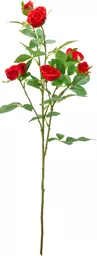 IT393840.jpg