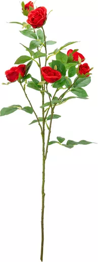 IT393840.jpg