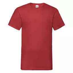 Men's Valueweight V-Neck T-Shirt