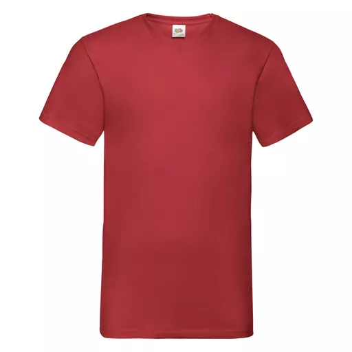 Men's Valueweight V-Neck T-Shirt