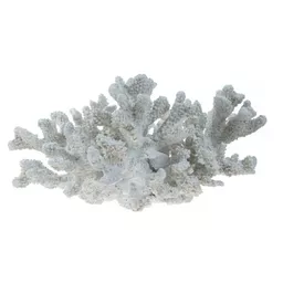 7696L-Brush Coral.jpg